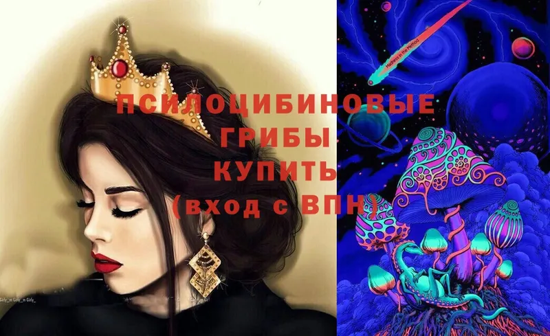 Галлюциногенные грибы Psilocybe  MEGA   Перевоз 